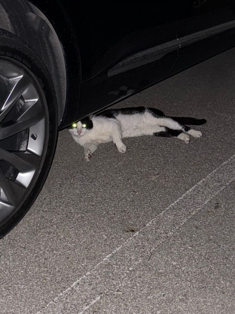 Resident chat image