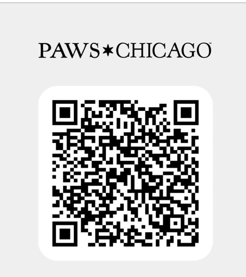 Resident chat image