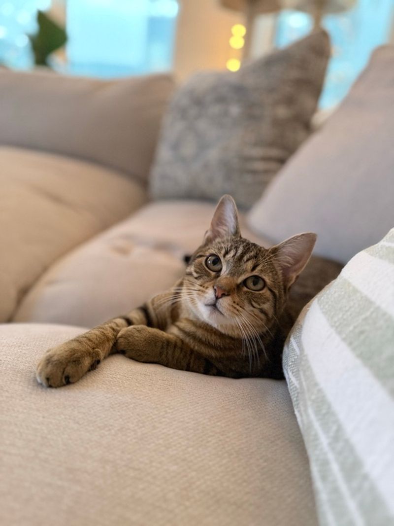 Resident chat image