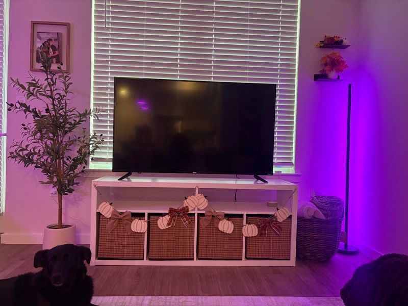 Resident chat image