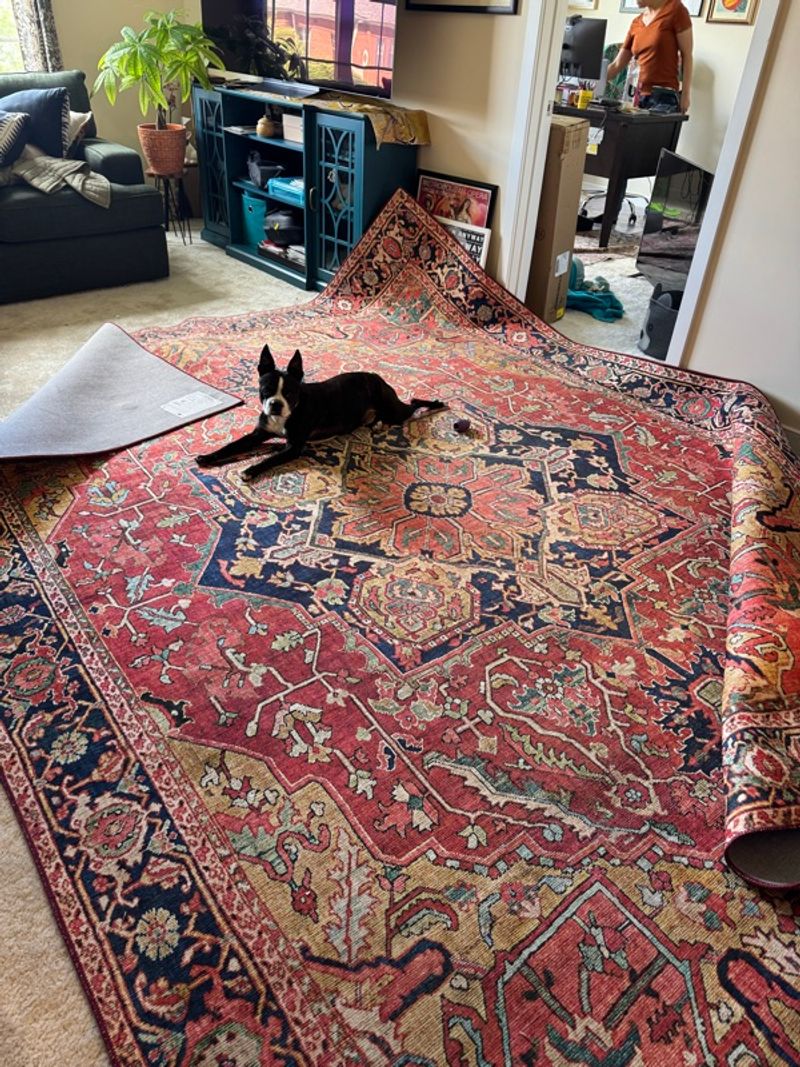 Resident chat image