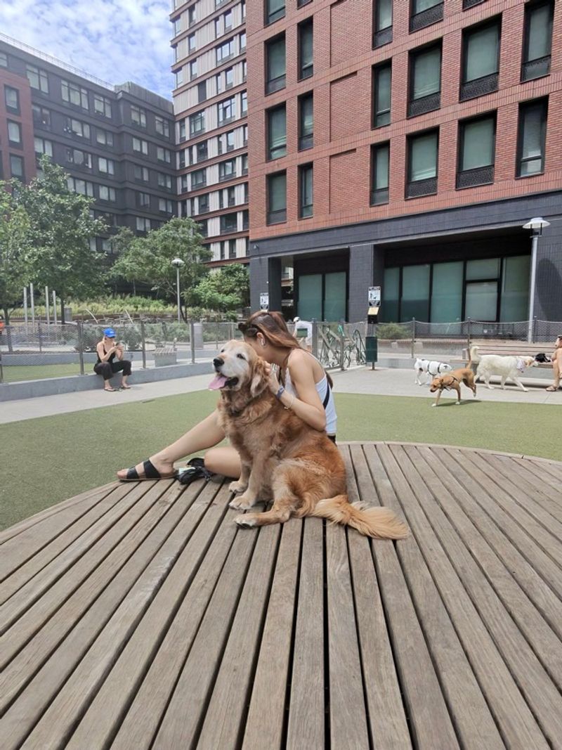 Resident chat image