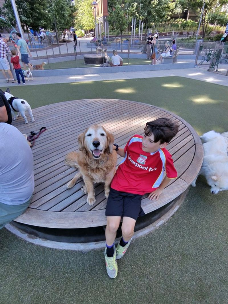 Resident chat image