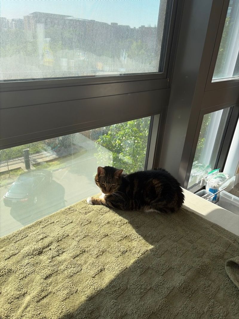 Resident chat image
