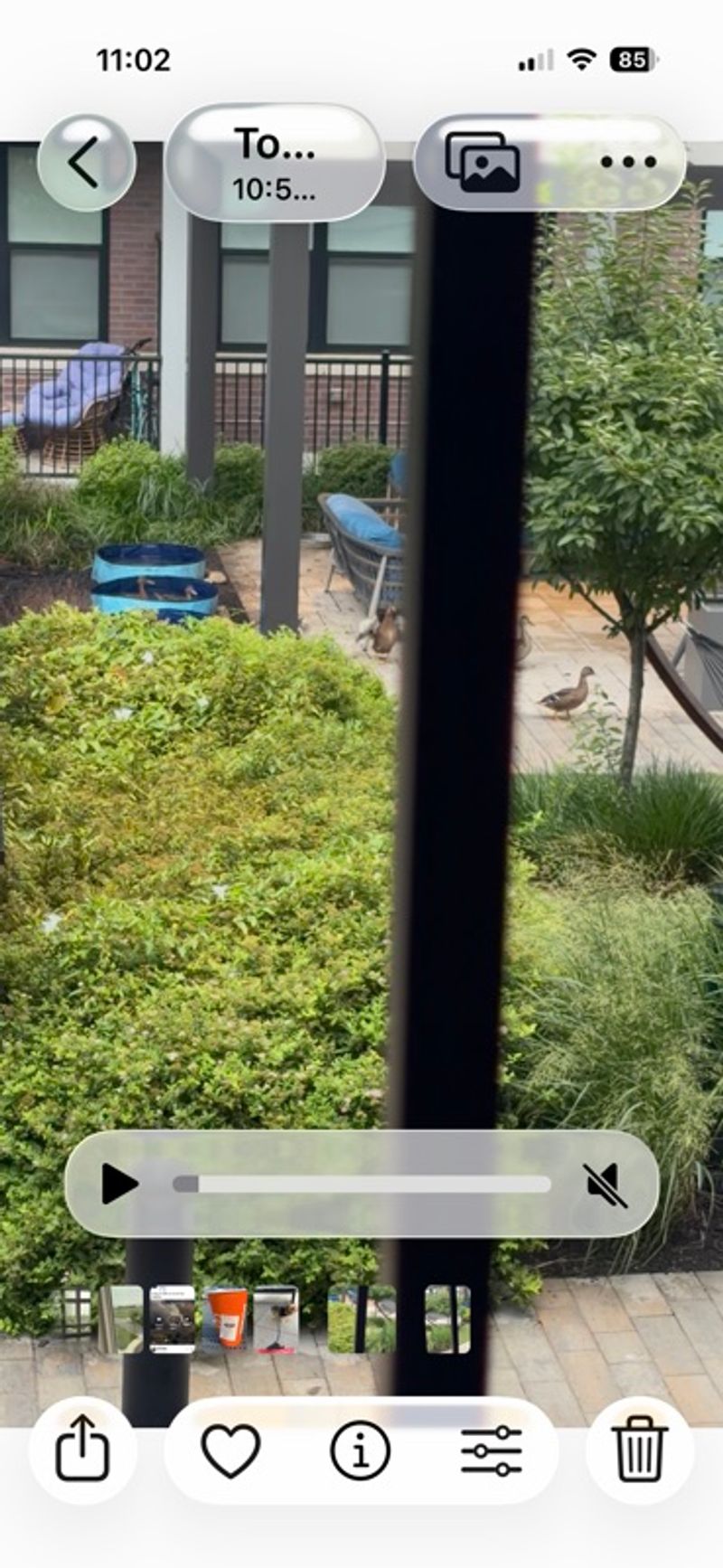 Resident chat image