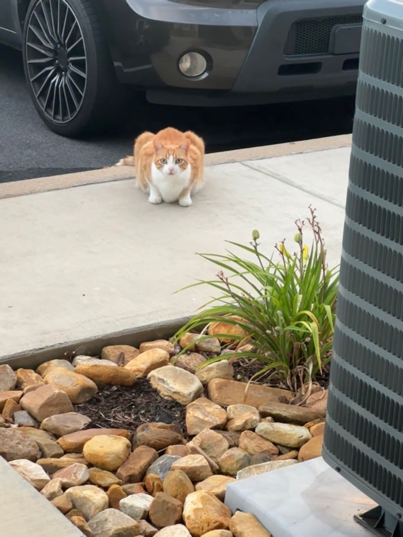 Resident chat image