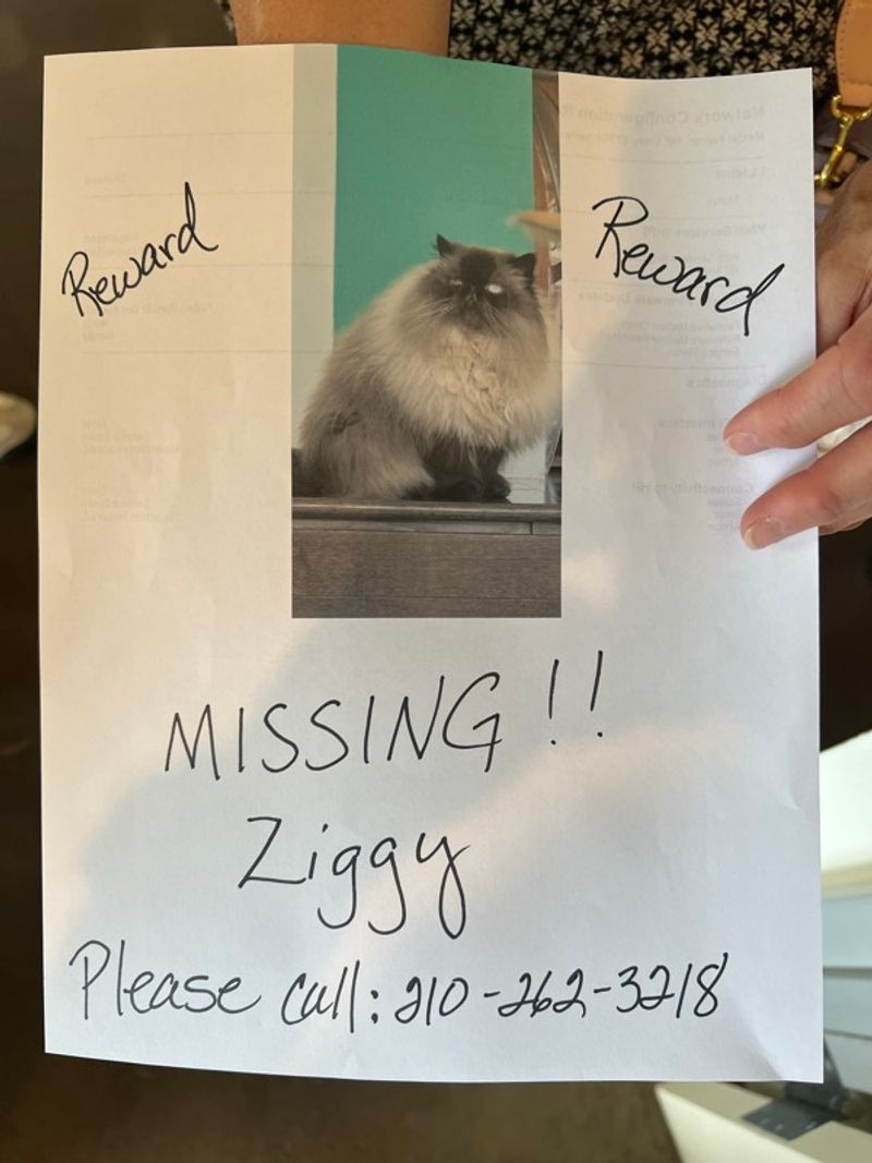 Resident chat image