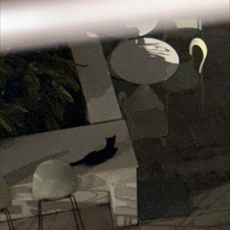 Resident chat image