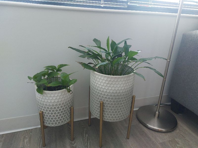 Resident chat image