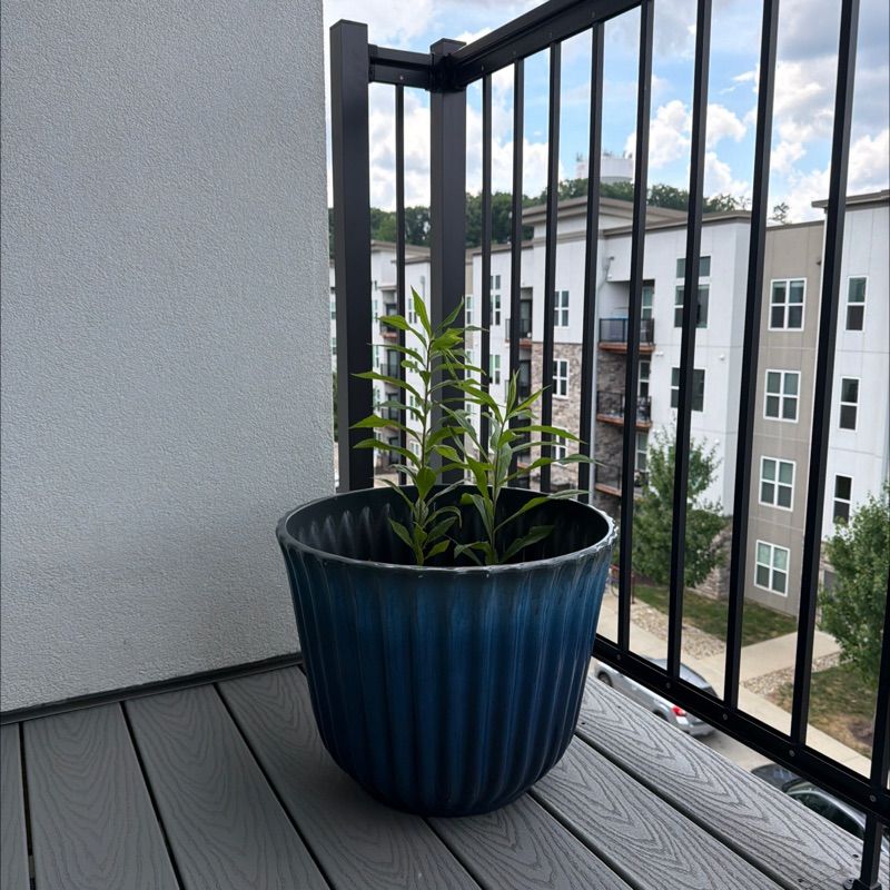 Resident chat image