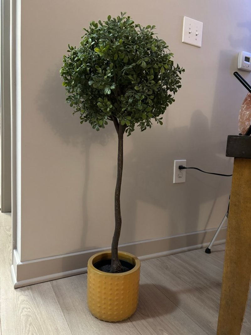 Resident chat image
