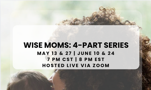 Wise Moms: 4-Part Series — Join us for a meaningful 4-part virtual series designed to support you through the real challenges and joys of motherhood. Led by Linda Reeb, author of Wise Moms, this series offers practical insight, encouragement, and connection with other moms. All are welcome, and participation is voluntary. Hosted live via Zoom—come as you are and leave encouraged. To join: https://dreamliveprosper.zoom.us/j/83364081133?pwd=v5qePEL02JCVR07LjOOWYWdSqcgIrj.1 Password: 969674 📣Zoom link TBA Please express interest - it helps us plan better! Plus, you’ll get reminders.