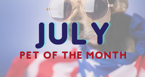 Vote for July Pet of the Month — Share a photo of your pet playing with another pet or enjoying a shared community space (as examples). Comment with your pet’s name and who they were playing with or where or something fun about them 📸 Post between now and June 30 👍 Voting will take place in the comments. The pet photo with the most reactions by 6/30 wins. 🎲 Tie breaker: If there is a tie, the winner will be chosen at random. If there is only one participant, they will win automatically. 🏆 July 1: Winner announced in Cobu To enter: 1️⃣ Tap “Add Comment” 2️⃣ Upload your pet photo in this event's comments section (if submitting multiple pets, submit as separate comments) 3️⃣ Comment with your pet’s name and who they were playing with or where or something fun about them Please express interest - it helps us plan better! Plus, you'll get reminders.