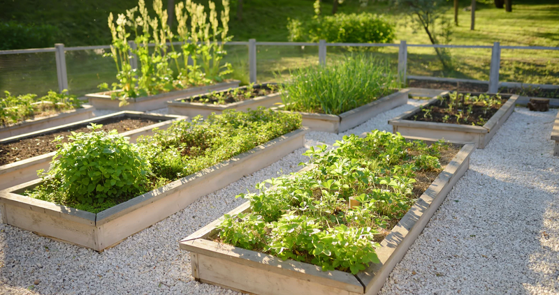 Community Garden — Those interested in utilizing, maintaining, or learning more about Station 9‘s community gardens. ￼