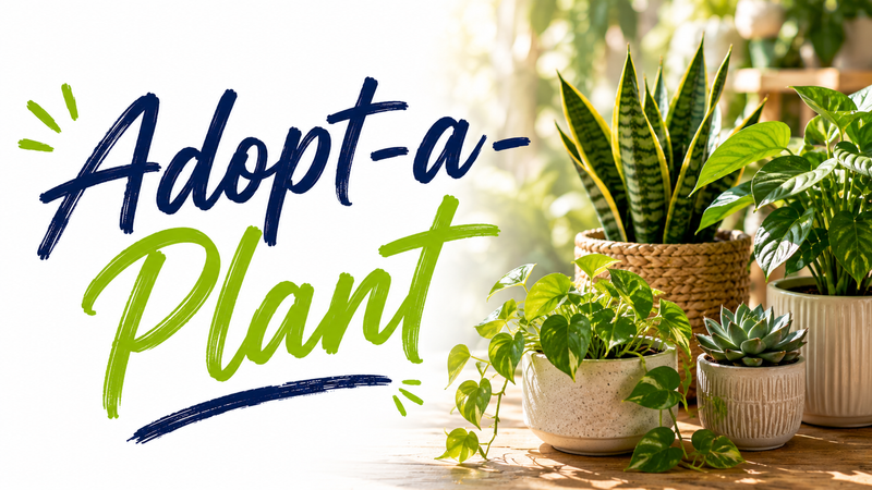 Adopt-a-Plant — Life's better with plants! Choose a plant and pot at our Adopt-a-Plant event and take home a new green friend. Please express interest - it helps us plan better! Plus, you'll get reminders.