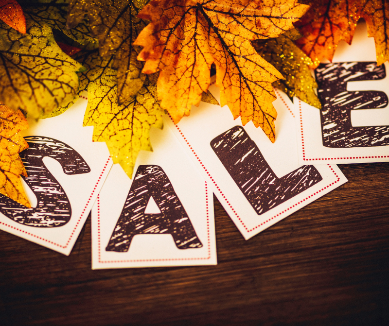 Rummage Sale — Looking to do a little bit of Autumn Cleaning (or maybe to pick up a couple of items you've been looking for)? Make sure to join us for our Rummage Sale taking place in the Courtyard. Interested in selling some items? Make sure to reach out to meridiancourthousecommons@apartmentlife.org to let Ashby know. A limited number of tables will be available on a first come first served basis, so please make sure that you have an alternate way to display your items (table of your own, blanket, etc). Make sure to have your items priced and if you are selling, please arrive at 12:30 to get set up! Don't forget to RSVP here. Please express interest - it helps us plan better! Plus, you'll get reminders.