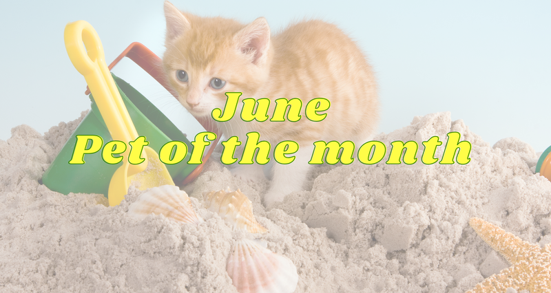 Vote for June Pet of the Month — Post a photo of your pet kicking off summer. Morning walks, patio hangs, or sunset strolls. Comment with your pet’s name and the time of day they love most. Vote for the summer vibe you feel. 📸 Post in this event comment section for your pet to be considered for June's pet of the month. 👍 Voting will take place in the comments. The pet photo with the most reactions by 5/31 wins. 🎲 Tie breaker: If there is a tie, the winner will be chosen at random. If there is only one participant, they will win automatically. 🏆 June 1: Winner announced in Cobu! To enter: 1️⃣ Tap “Add Comment” 2️⃣ Upload ONE photo 3️⃣ Comment with your pet’s name and the time of day they love most. To Vote: 1️⃣ Tap "Reaction" and choose any reaction Please express interest - it helps us plan better! Plus, you’ll get reminders.