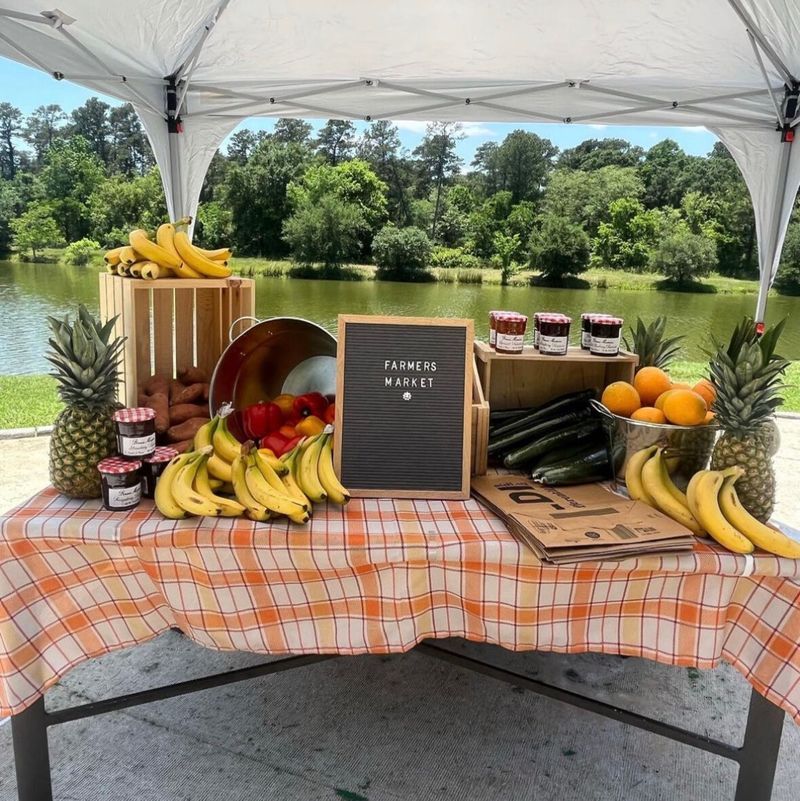 Farmers Market at the Farm — Experience the vibrant flavors of the season at our very own Farmers Market. Pick out your very own fruits and vegetables from our bountiful table!
