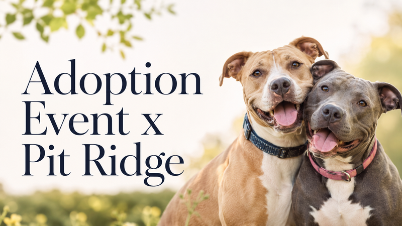 Adoption Event x Pit Ridge — Looking for a new best friend? Join us for a special adoption event with Pit Ridge Rescue, a local nonprofit dedicated to saving dogs in need. Stop by the Clubhouse to meet adoptable dogs and learn more about finding the perfect addition to your family! Please express interest - it helps us plan better! Plus, you'll get reminders.