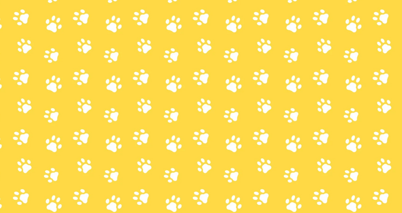 Yappy Hour — Bring your furry friend for an evening of fun! Enjoy wine, seltzers, pup cups, a paw-print art activity, and enter for a chance to win prizes from Colby’s Dogcare & Spa. Please express interest - it helps us plan better! Plus, you'll get reminders.