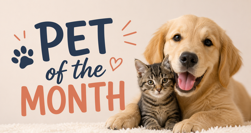 Vote for August Pet of the Month — Share a photo of your pet and share a fun fact. 📸 Post between now and August 14th 👍 Voting will take place in the comments. The pet photo with the most reactions wine! 🎲 Tie breaker: If there is a tie, the winner will be chosen at random. If there is only one participant, they will win automatically. 🏆 July 1: Winner announced in Cobu To enter: 1️⃣ Tap “Add Comment” 2️⃣ Upload your pet photo in this event's comments section (if submitting multiple pets, submit as separate comments) 3️⃣ Comment with your pet’s name and who they were playing with or where or something fun about them Please express interest - it helps us plan better! Plus, you'll get reminders.