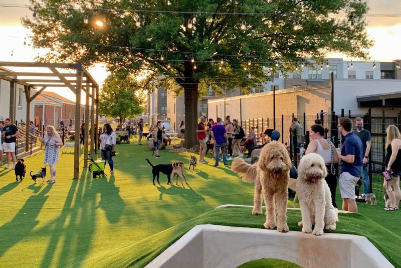 Yappy Hour at Ora 🐾 — Join us at the dog park on August 20th from 5:00–6:30 PM for Yappy Hour! The Dog Stop will be joining us with some special treats and fun for our furry residents. Treats, drinks, and FUN will be provided! Dogs are not required to join the fun! Whether you have a pup or not, come hang out, meet your neighbors, and enjoy the evening with us. We’d love to see you there! 🐶✨ Please express interest - it helps us plan better! Plus, you'll get reminders.