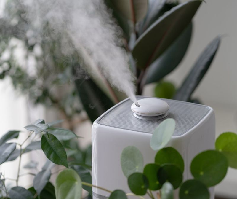 Aromatix Air Scent Diffuser & Mimosas Meet & Greet — Learn about Aromatix air scent diffuser offerings while enjoying Mimosas with your neighbors. Don't forget to RSVP here so that you get your reminder to come by. Please express interest - it helps us plan better! Plus, you'll get reminders.