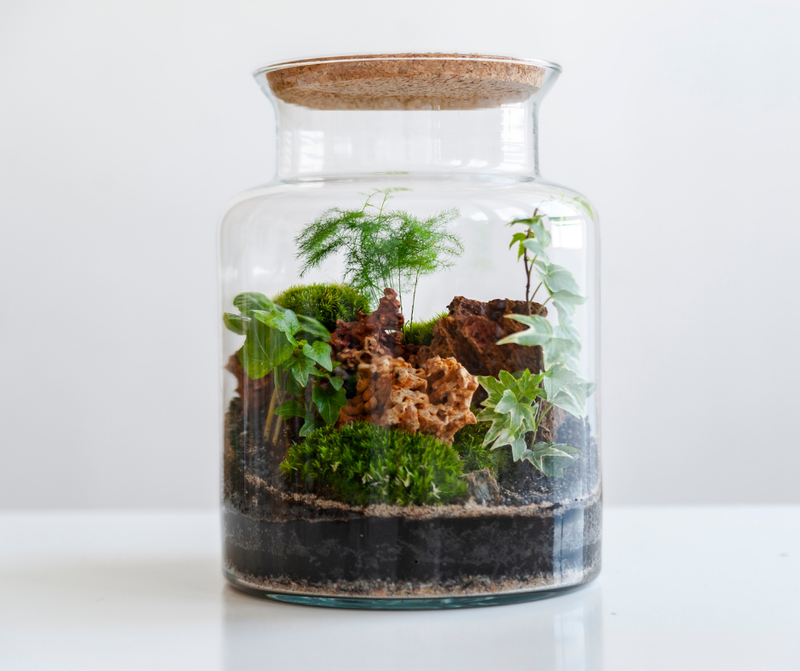 Tinkering With Terrariums — Let your creative side out while making a tiny terrarium to bring home to add to the decor of your apartment. Plants, containers and decorative items will be provided (while supplies) last, just bring your creativity and enjoy some time with your neighbors. Don't forget to RSVP here. Please express interest - it helps us plan better! Plus, you'll get reminders.