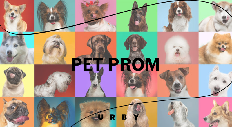 Pet Prom 🐾 — Get ready to pawty, Pet Prom is here! Join us on the rooftop for a stylish evening full of fun, treats, and tail wags. Sip on pet-friendly cocktails, enjoy delicious treats, and capture plenty of photo worthy moments with your furry plus ones. Please express interest - it helps us plan better! Plus, you'll get reminders.