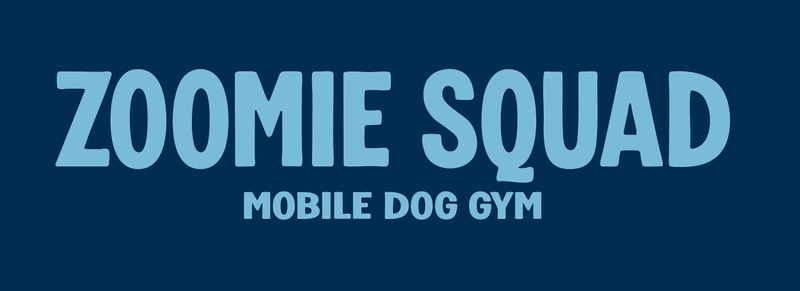 Zoomie Squad Feature! 🐕⚡(Pool Pawty)  — We're excited to welcome Zoomie Squad to our Dog Pool Pawty on September 16th! (check email for further details) This is a great opportunity for your pup to burn off some energy before cooling off in the pool. Whether you have a high-energy dog, a busy schedule, or are simply curious about the service, come check them out and give it a try before committing. Your dog can get warmed up with some fun and exercise, then enjoy a refreshing splash in the pool! 🐾💦 Please express interest - it helps us plan better! Plus, you'll get reminders.